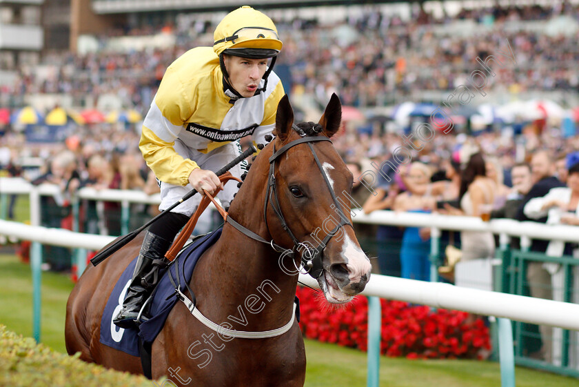 Raydiance-0001 
 RAYDIANCE (Richard Kingscote)
Newmarket 15 Sep 2018 - Pic Steven Cargill / Racingfotos.com