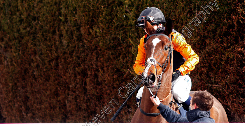 Blue-Hero-0001 
 BLUE HERO (Andrew Mullen)
Wolverhampton 13 Mar 2021 - Pic Steven Cargill / Racingfotos.com