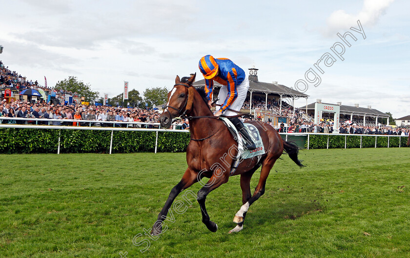 Sir-Lucan-0001 
 SIR LUCAN (James Doyle)
Doncaster 11 Sep 2021 - Pic Steven Cargill / Racingfotos.com