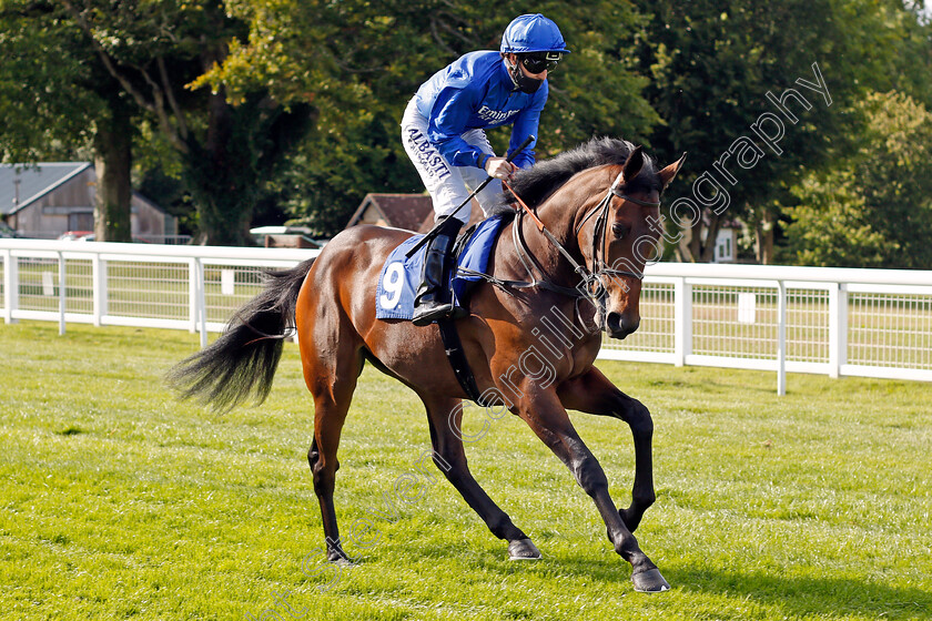 Soft-Whisper-0001 
 SOFT WHISPER (Pat Cosgrave)
Salisbury 11 Jul 2020 - Pic Steven Cargill / Racingfotos.com