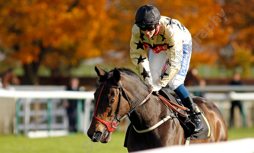 Fleetwater-0001 
 FLEETWATER (David Probert)
Newmarket 23 Oct 2024 - Pic Steven Cargill / Racingfotos.com