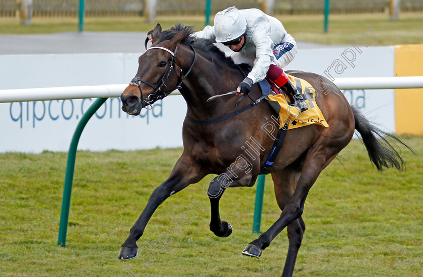 Grand-Bazaar-0002 
 GRAND BAZAAR (Frankie Dettori)
Newmarket 2 May 2021 - Pic Steven Cargill / Racingfotos.com