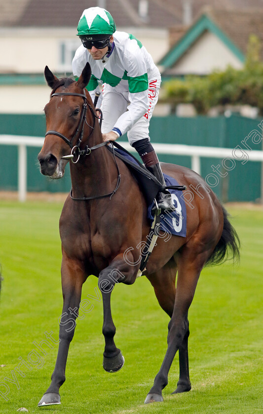 Zariela-0001 
 ZARIELA (Robert Havlin)
Yarmouth 19 Sep 2023 - Pic Steven Cargill / Racingfotos.com