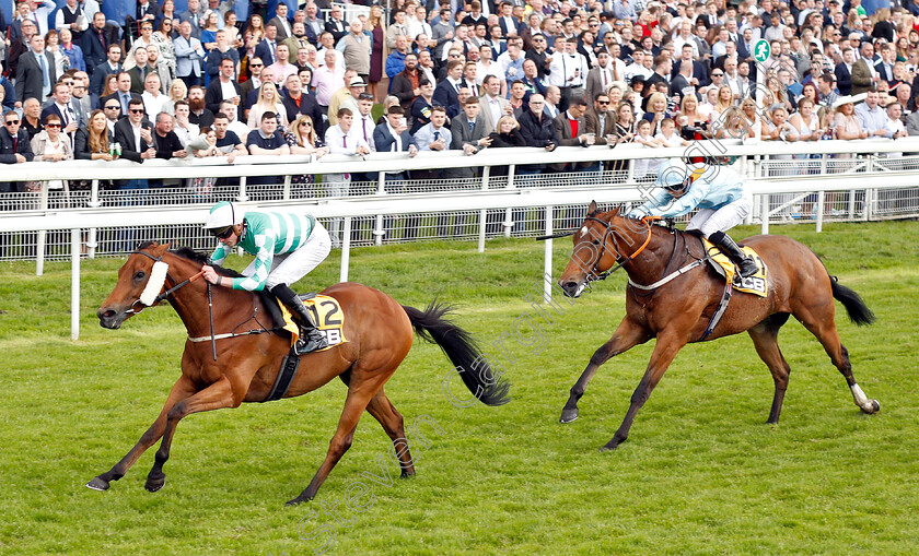 Firmament-0002 
 FIRMAMENT (James Doyle) beats ADMIRALTY (right) in The JCB Handicap
York 15 Jun 2019 - Pic Steven Cargill / Racingfotos.com