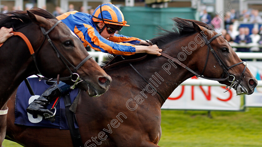 Seahenge-0006 
 SEAHENGE (Donnacha O'Brien) wins The Howcroft Industrial Supplies Champagne Stakes Doncaster 16 Sep 2017 - Pic Steven Cargill / Racingfotos.com