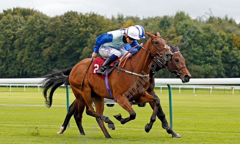 Rick-Blaine-0001 
 RICK BLAINE (left, David Probert) beats DAYSAN (right) in The Betfair Maiden Stakes
Haydock 3 Sep 2020 - Pic Steven Cargill / Racingfotos.com