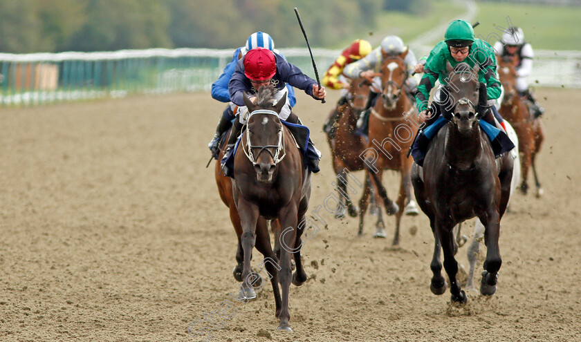 Reine-De-Vitesse-0004 
 REINE DE VITESSE (left, John Egan) beats SHERIFFMUIR (right) in The Starsports.bet Maiden Stakes
Lingfield 3 Oct 2019 - Pic Steven Cargill / Racingfotos.com