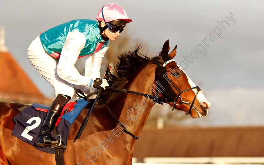 Gantier-0001 
 GANTIER (Robert Havlin)
Lingfield 18 Jan 2019 - Pic Steven Cargill / Racingfotos.com