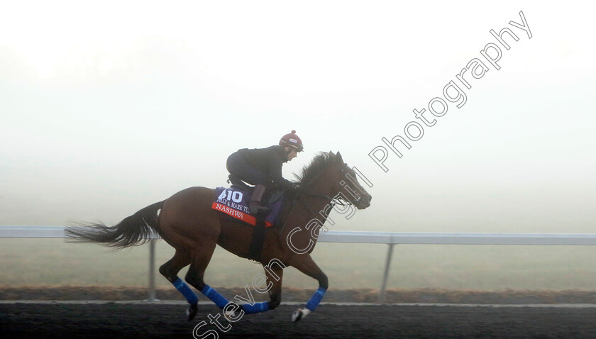 Nashwa-0004 
 NASHWA (Hollie Doyle) training for the Breeders' Cup Filly & Mare Turf
Keeneland USA 3 Nov 2022 - Pic Steven Cargill / Racingfotos.com