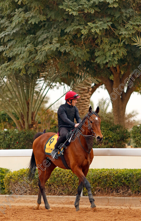 Luxembourg-0004 
 LUXEMBOURG training for The Neom Turf Cup
King Abdulaziz Racetrack, Saudi Arabia 22 Feb 2024 - Pic Steven Cargill / Racingfotos.com