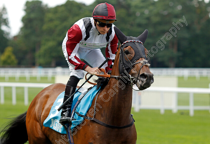 Howth-0001 
 HOWTH (Jason Watson)
Ascot 26 Jul 2024 - Pic Steven Cargill / Racingfotos.com