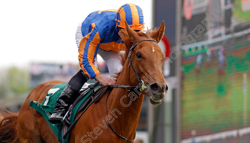 Port-Fairy-0003 
 PORT FAIRY (Ryan Moore)
Chester 8 May 2024 - Pic Steven Cargill / Racingfotos.com