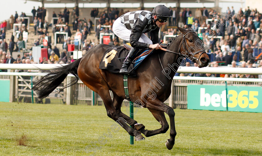 Lavender s-Blue-0005 
 LAVENDER'S BLUE (Robert Havlin) wins The bet365 EBF Fillies Maiden Stakes Div2
Newmarket 16 Apr 2019 - Pic Steven Cargill / Racingfotos.com