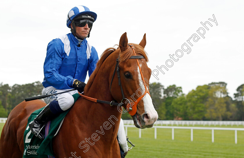 Ehraz 
 EHRAZ (Jim Crowley)
Ascot 27 Apr 2022 - Pic Steven Cargill / Racingfotos.com