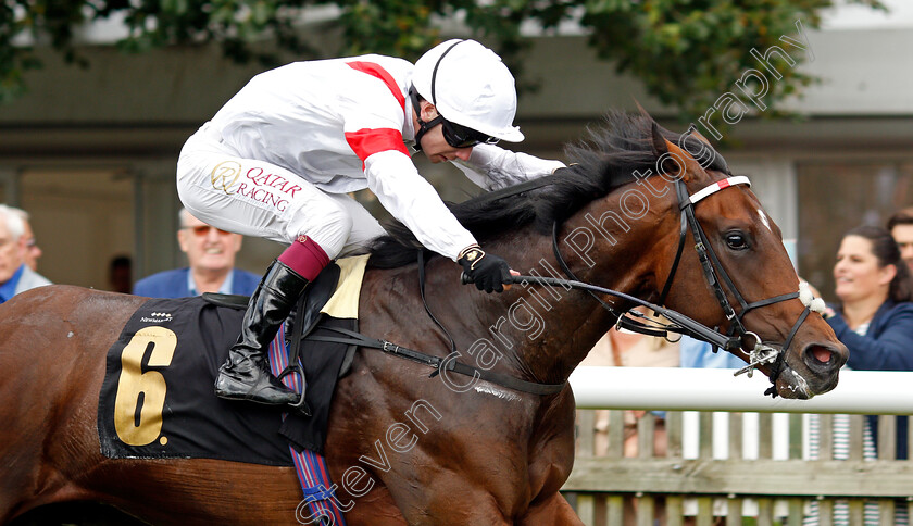 Neptune-Legend-0005 
 NEPTUNE LEGEND (Oisin Murphy) wins The Ian Angry Anderson Celebration Nursery
Newmarket 7 Aug 2021 - Pic Steven Cargill / Racingfotos.com