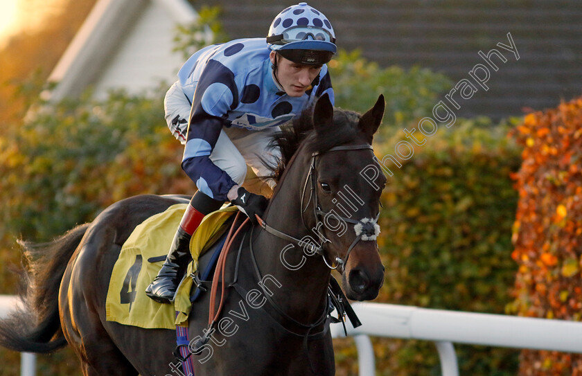 Eccentric-0001 
 ECCENTRIC (David Egan)
Kempton 15 Nov 2023 - Pic Steven Cargill / Racingfotos.com