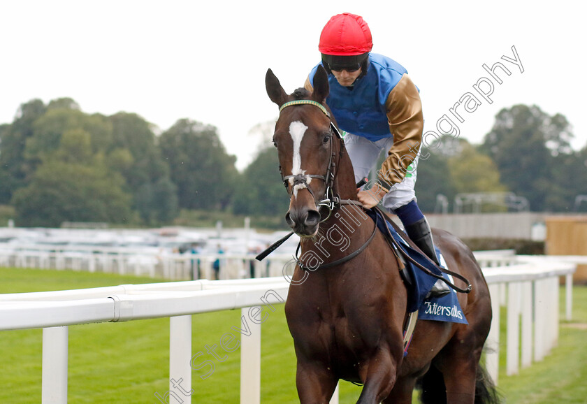 Ballymount-Boy-0001 
 BALLYMOUNT BOY (Jason Hart)
York 23 Aug 2023 - Pic Steven Cargill / Racingfotos.com