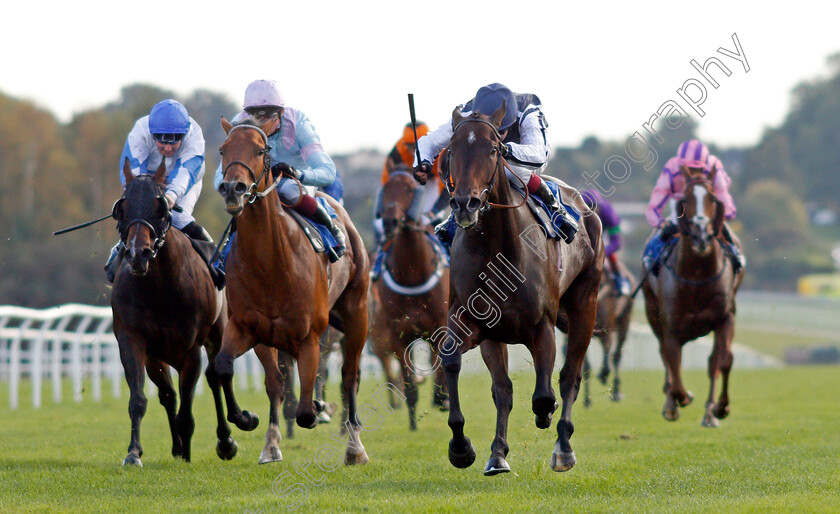 Able-Kane-0002 
 ABLE KANE (right, Oisin Murphy) beats TOMFRE (2nd left) in The Every Race Live On Racing TV Handicap 
Leicester 12 Oct 2021 - Pic Steven Cargill / Racingfotos.com