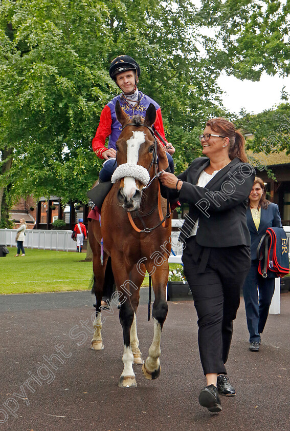 King s-Lynn-0015 
 KING'S LYNN (David Probert) after The Cazoo Temple Stakes
Haydock 21 May 2022 - Pic Steven Cargill / Racingfotos.com