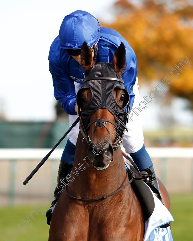 D bai-0001 
 D'BAI (William Buick)
Newmarket 12 Oct 2018 - Pic Steven Cargill / Racingfotos.com