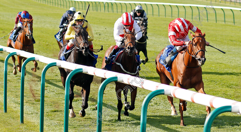 Daahyeh-0005 
 DAAHYEH (William Buick) wins The Shadwell Rockfel Stakes
Newmarket 27 Sep 2019 - Pic Steven Cargill / Racingfotos.com