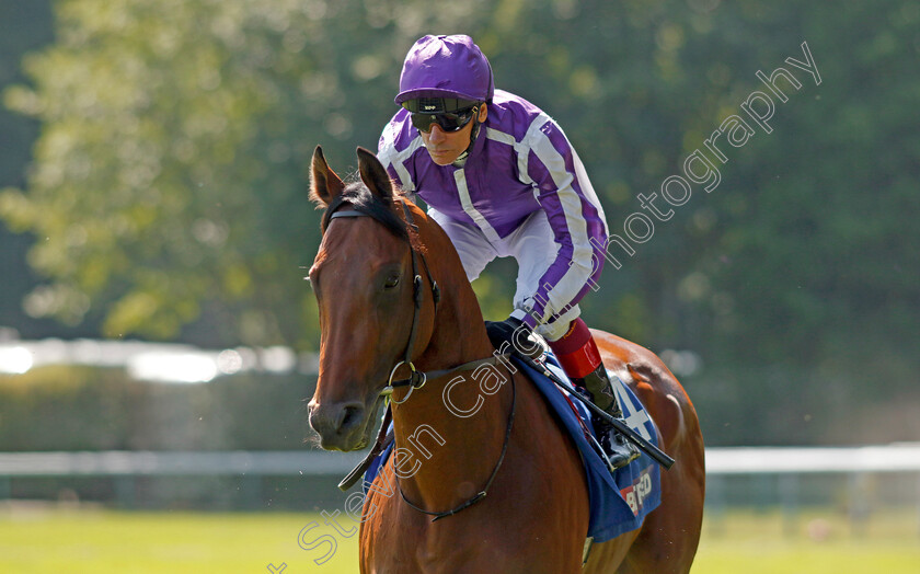 Little-Big-Bear-0017 
 LITTLE BIG BEAR (Frankie Dettori) winner of The Betfred Nifty Fifty Sandy Lane Stakes
Haydock 27 May 2023 - Pic Steven Cargill / Racingfotos.com