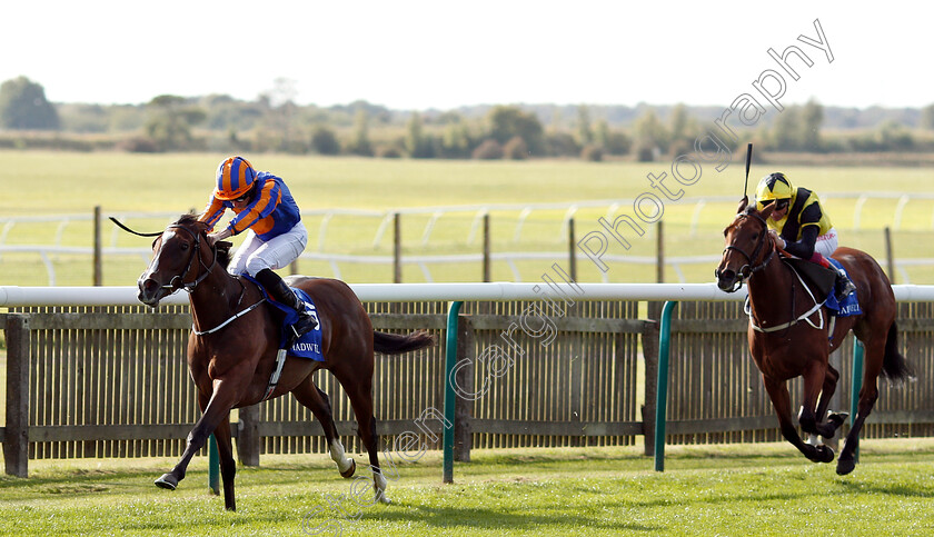 Just-Wonderful-0001 
 JUST WONDERFUL (Ryan Moore) wins The Shadwell Rockfel Stakes
Newmarket 28 Sep 2018 - Pic Steven Cargill / Racingfotos.com