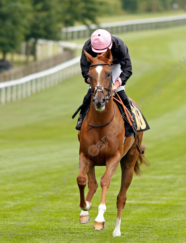 Folk-Star-0001 
 FOLK STAR (Tom Marquand)
Newmarket 30 Jun 2023 - Pic Steven Cargill / Racingfotos.com