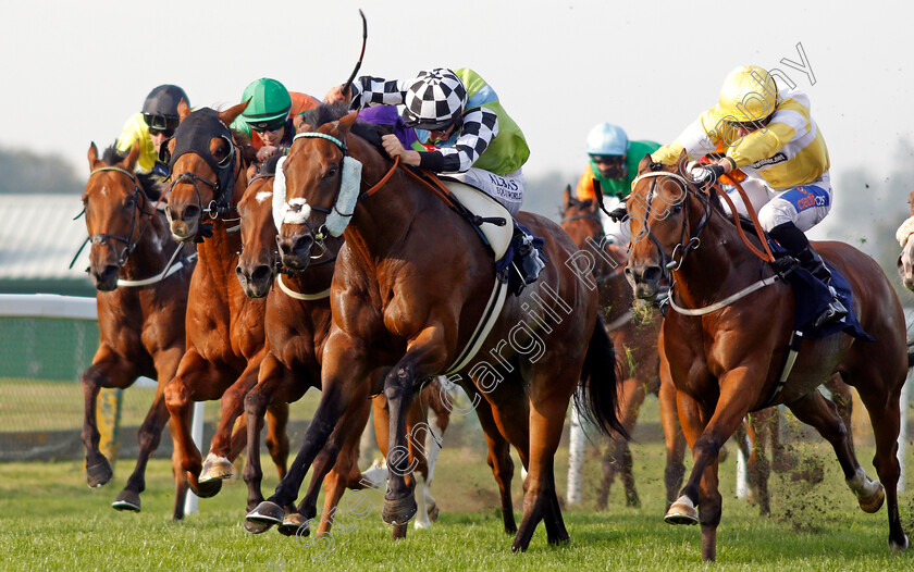 Global-Hope-0003 
 GLOBAL HOPE (Adam Kirby) beats WAR OF CLANS (right) in The Download The At The Races App Handicap
Yarmouth 15 Sep 2020 - Pic Steven Cargill / Racingfotos.com