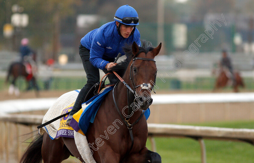 Thunder-Snow-0004 
 THUNDER SNOW exercising ahead of The Breeders' Cup Classic
Churchill Downs USA 30 Oct 2018 - Pic Steven Cargill / Racingfotos.com