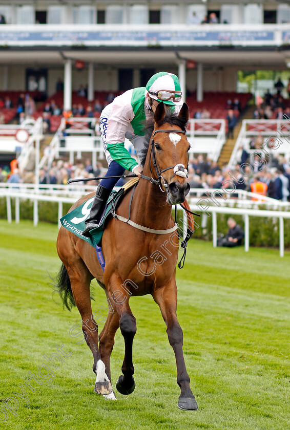 Typewriter 
 TYPEWRITER (David Probert)
Chester 4 May 2022 - Pic Steven Cargill / Racingfotos.com