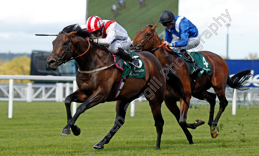 Invincible-Army-0002 
 INVINCIBLE ARMY (Ryan Moore) wins The Merriebelle Stable Pavilion Stakes Ascot 2 May 2018 - Pic Steven Cargill / Racingfotos.com