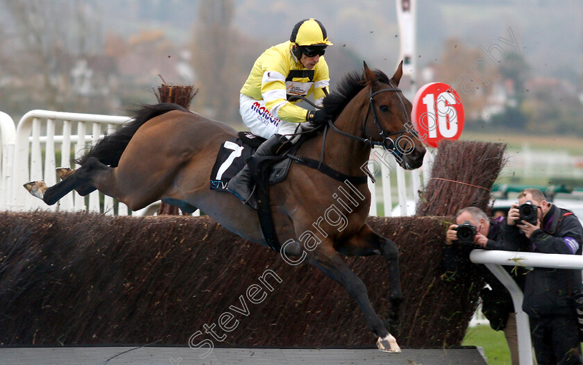 Peppay-Le-Pugh-0001 
 PEPPAY LE PUGH (Harry Skelton)
Cheltenham 16 Nov 2018 - Pic Steven Cargill / Racingfotos.com