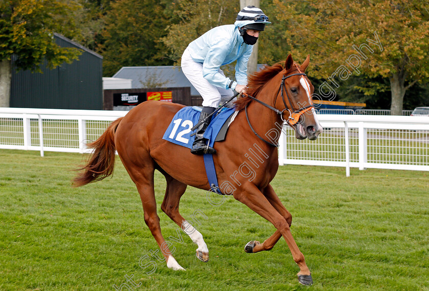 Moment-Critique-0001 
 MOMENT CRITIQUE (Liam Keniry)
Salisbury 1 Oct 2020 - Pic Steven Cargill / Racingfotos.com