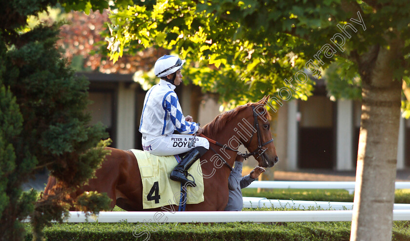 Rubia-Bella-0001 
 RUBIA BELLA (Sean Levey)
Kempton 22 May 2019 - Pic Steven Cargill / Racingfotos.com