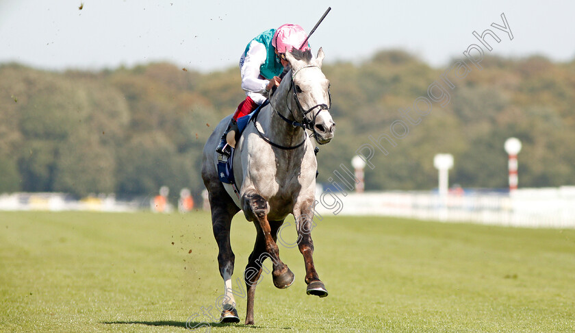 Logician-0017 
 LOGICIAN (Frankie Dettori) wins The William Hill St Leger Stakes
Doncaster 14 Sep 2019 - Pic Steven Cargill / Racingfotos.com