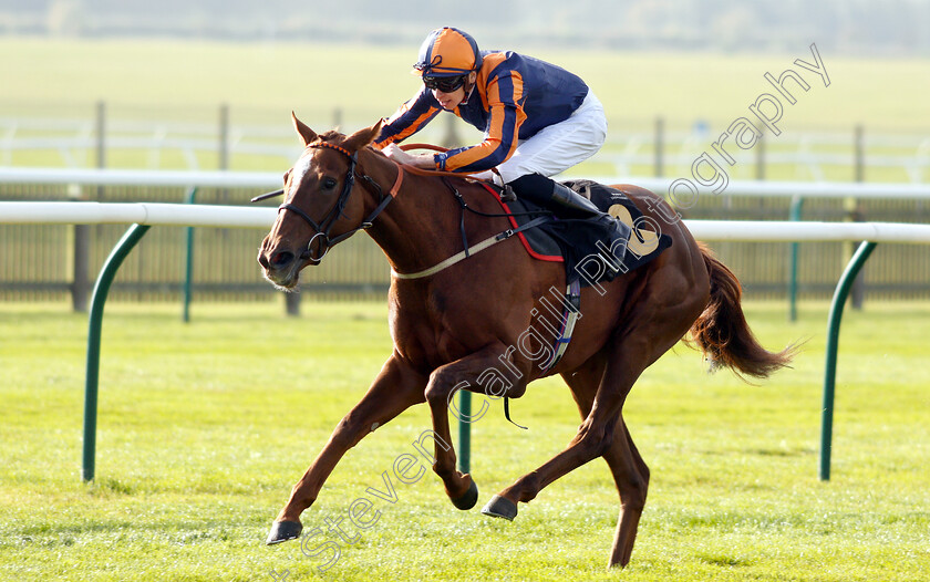 Garrel-Glen-0005 
 GARREL GLEN (Louis Steward) wins The Shepherd Compello & EPG Fillies Novice Median Auction Stakes Div2
Newmarket 24 Oct 2018 - Pic Steven Cargill / Racingfotos.com