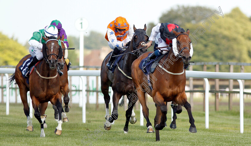 Storm-Melody-0001 
 STORM MELODY (Tom Marquand) beats COFFEEMEANSCOFFEE (left) in The Best Free Tips At Valuerater.co.uk Handicap
Bath 3 Jul 2019 - Pic Steven Cargill / Racingfotos.com