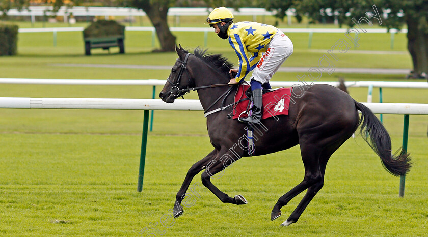 International-Lady-0001 
 INTERNATIONAL LADY (Connor Murtagh)
Haydock 4 Sep 2020 - Pic Steven Cargill / Racingfotos.com