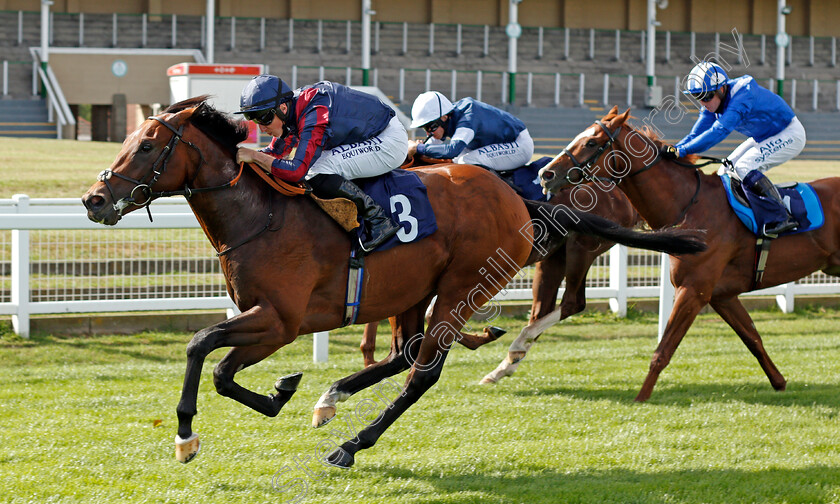 Hickory-0004 
 HICKORY (Tom Marquand) wins The EBF Future Stayers Novice Stakes
Yarmouth 25 Aug 2020 - Pic Steven Cargill / Racingfotos.com