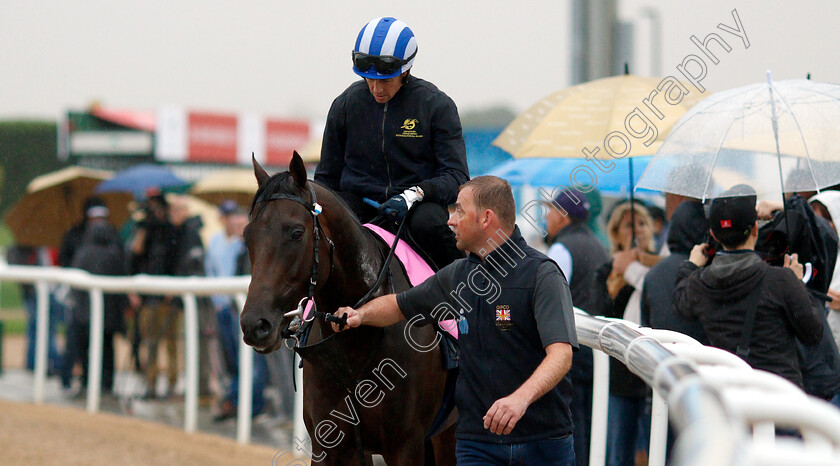 Jahbath-0001 
 JAHBATH (Jim Crowley) training for The UAE Derby
Meydan 28 Mar 2019 - Pic Steven Cargill / Racingfotos.com