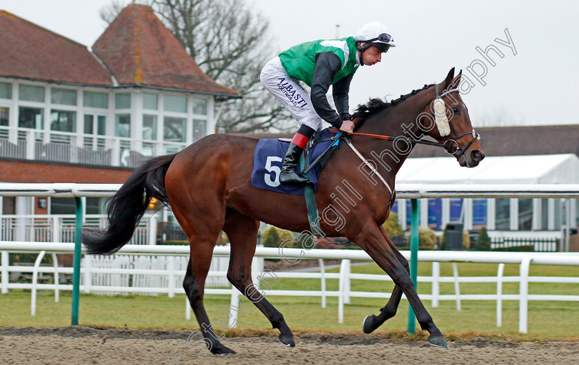 Noble-Behest-0001 
 NOBLE BEHEST (Adam Kirby) winner of The Betway Stayers Handicap Lingfield 20 Dec 2017 - Pic Steven Cargill / Racingfotos.com