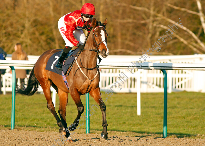 Miss-Elsa-0001 
 MISS ELSA (Georgia Dobie)
Lingfield 10 Jan 2020 - Pic Steven Cargill / Racingfotos.com