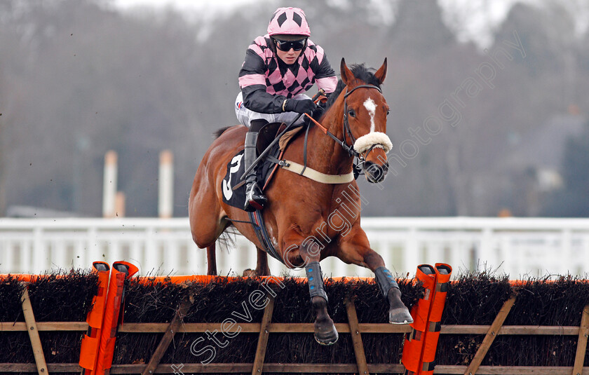 Eragon-De-Chanay-0001 
 ERAGON DE CHANAY (Joshua Moore) Ascot 25 Mar 2018 - Pic Steven Cargill / Racingfotos.com