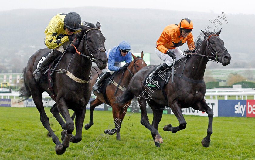 Harambe-0005 
 HARAMBE (left, Tom Bellamy) beats MONSIEUR LECOQ (right) in The Unibet Greatwood Handicap Hurdle
Cheltenham 17 Nov 2019 - Pic Steven Cargill / Racingfotos.com