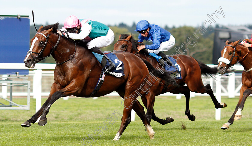 First-Eleven-0001 
 FIRST ELEVEN (Robert Havlin) wins The Lavazza Handicap
Ascot 8 Sep 2018 - Pic Steven Cargill / Racingfotos.com