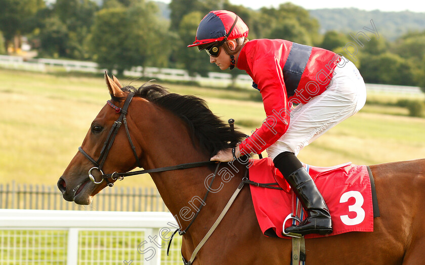 Chairlift-Chat-0001 
 CHAIRLIFT CHAT (Rob Hornby)
Epsom 4 Jul 2019 - Pic Steven Cargill / Racingfotos.com