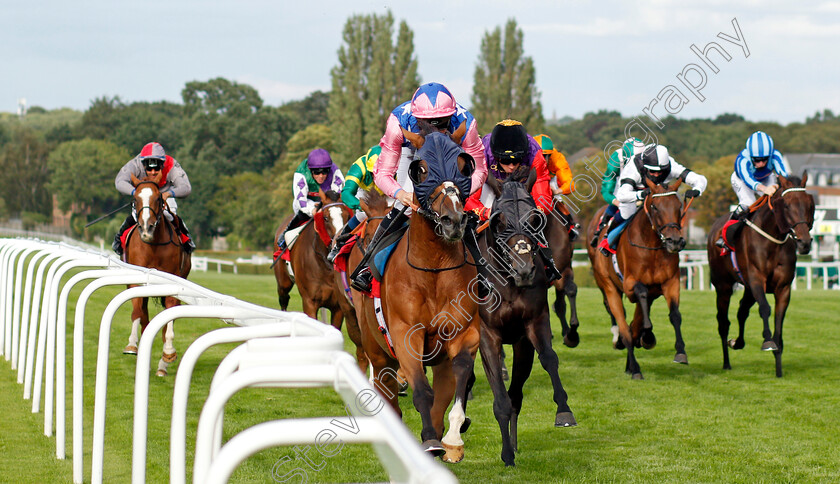 Seinesational-0002 
 SEINSATIONAL (Jason Watson) wins The Read Andrew Balding On Betway Insider Handicap
Sandown 23 Aug 2020 - Pic Steven Cargill / Racingfotos.com