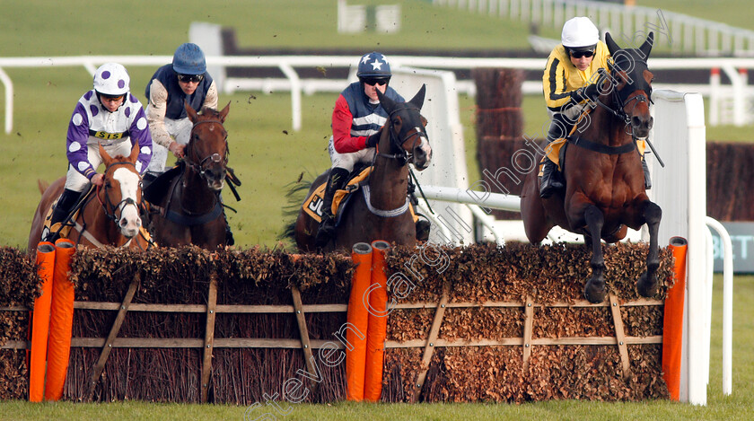 Allmankind-0001 
 ALLMANKIND (Harry Skelton) wins The JCB Triumph Trial Juvenile Hurdle
Cheltenham 16 Nov 2019 - Pic Steven Cargill / Racingfotos.com