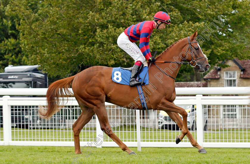 KIng-Vega-0001 
 KING VEGA (Oisin Murphy)
Salisbury 12 Aug 2021 - Pic Steven Cargill / Racingfotos.com